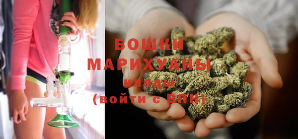 тгк Арсеньев