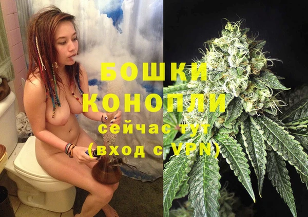тгк Арсеньев