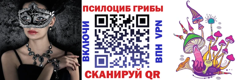 Галлюциногенные грибы мухоморы  купить закладку  hydra ссылка  Сарапул 